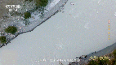 伊犁河谷藏着一条牛奶河一条河给我看馋了天山雪水裹挟着远古的矿粉奔流，在特克斯河调