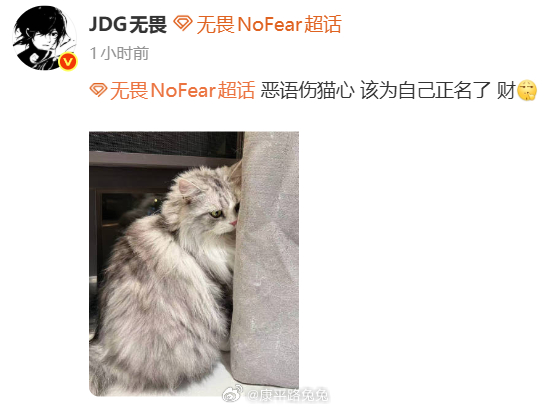 无畏为自己的猫正名了KPL 还有谁在黑发财！我们发财明明是女明星来的