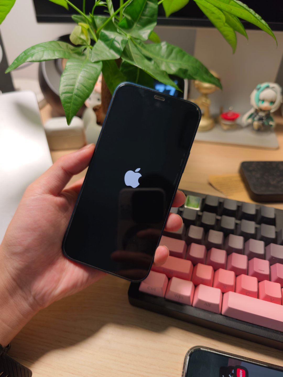 🌶︎🐔iPhone，卡白苹果开不了机了 ​​​