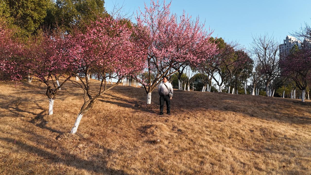 看着别人家团聚，我们却还在工作岗位上，这是没有办法，没有了后盾也没有帮助，只能自
