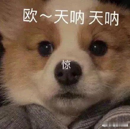 #西安在上一种很新的早八#西安人的早八松弛又惬意，看着小南门早市人头攒动活力满满