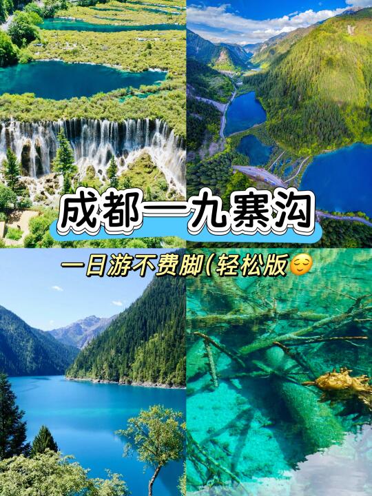 成都➡️九寨沟一日游（轻松版‼️