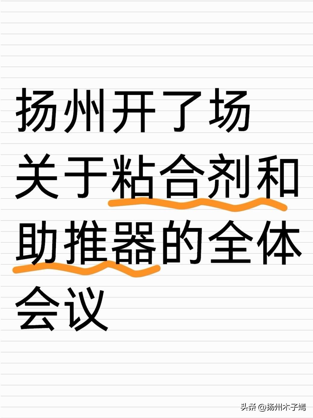 2026年3月20日，扬州市委统一战线工作领导小组开了场全体会议，市委书记王进健