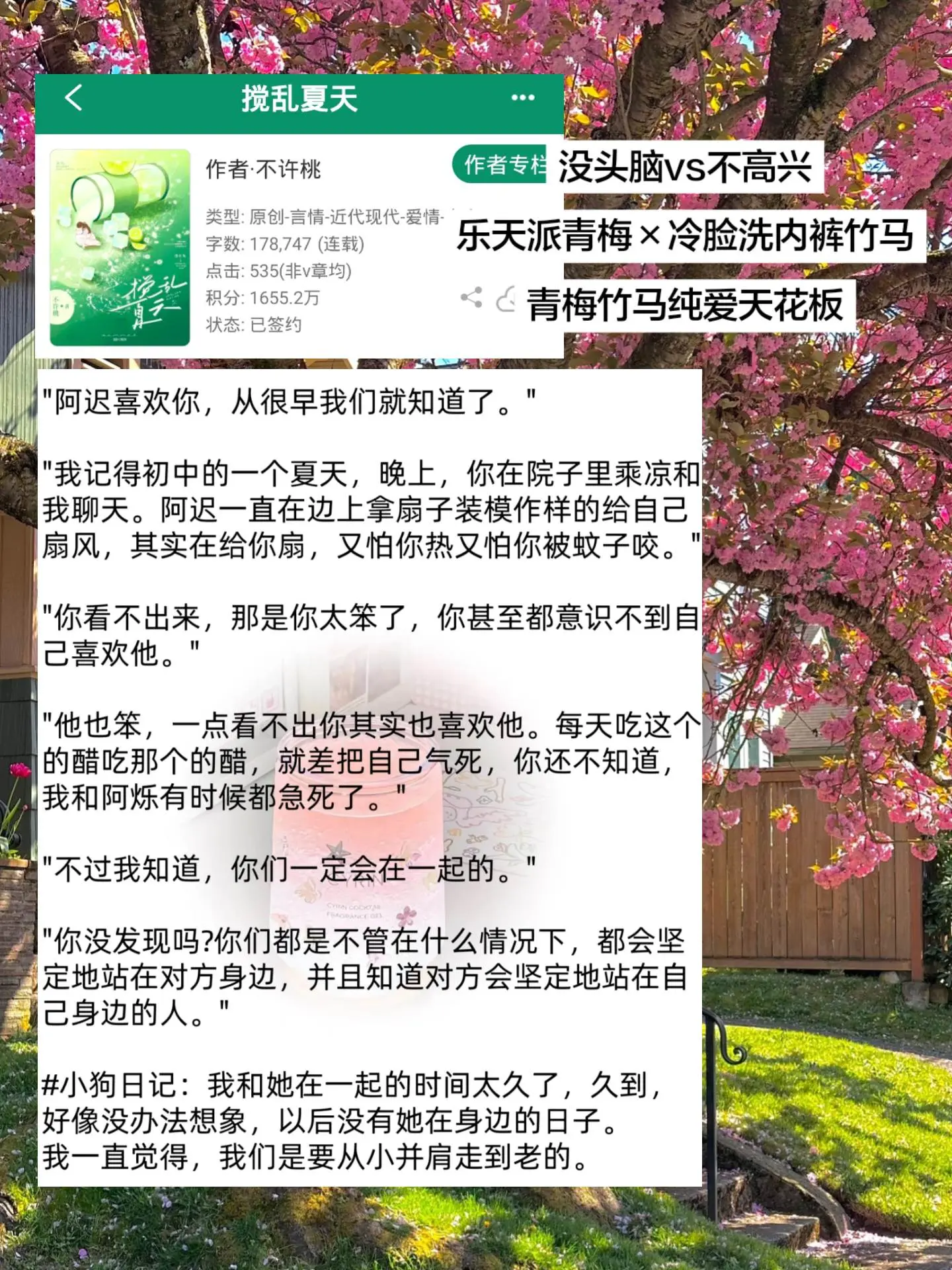 没人能在纯爱赛道打败青梅竹马