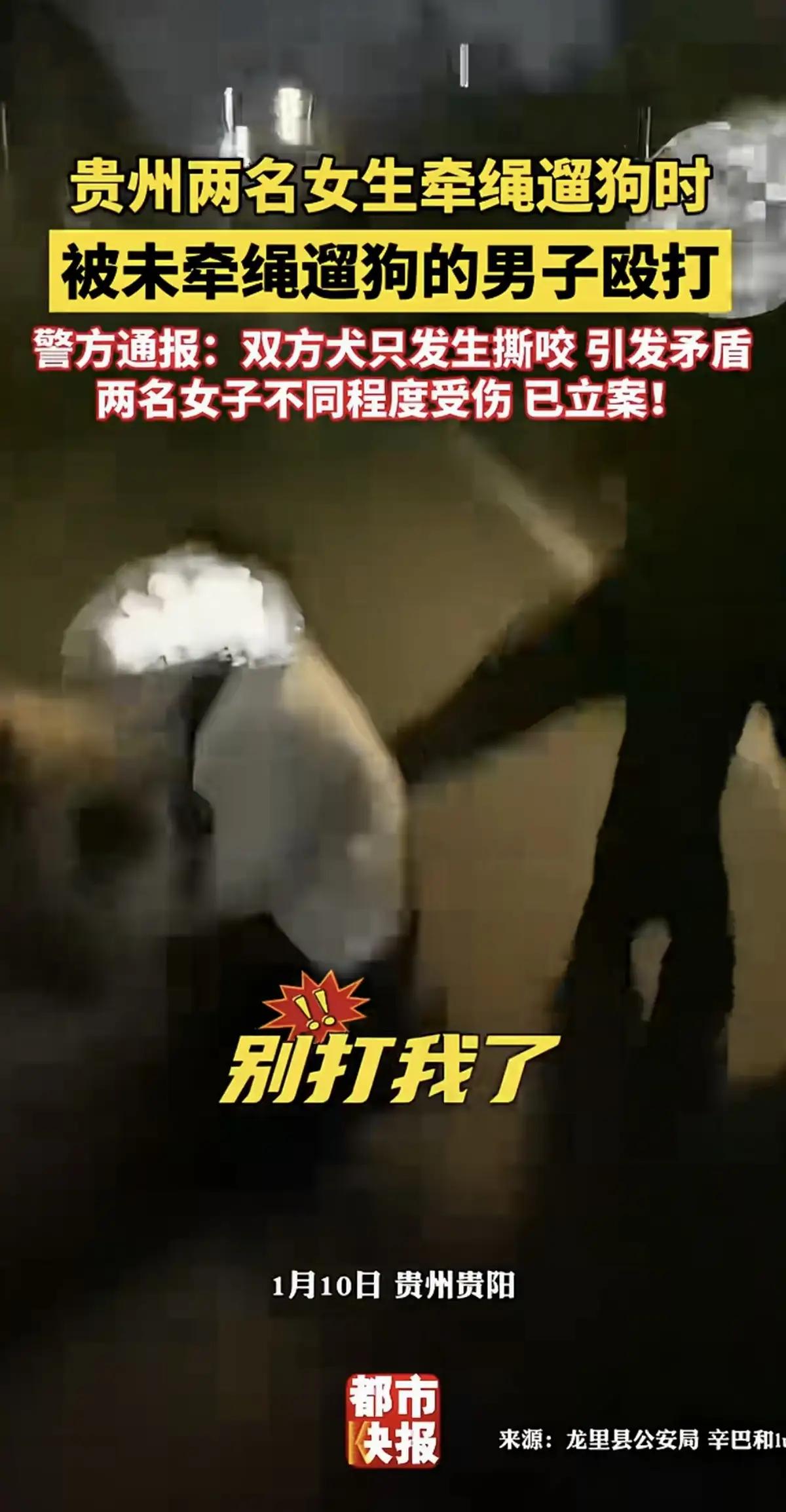 震惊！遛狗引发街头暴力，年轻女子被老人殴打，事件背后隐藏的养宠新规与法律底线！