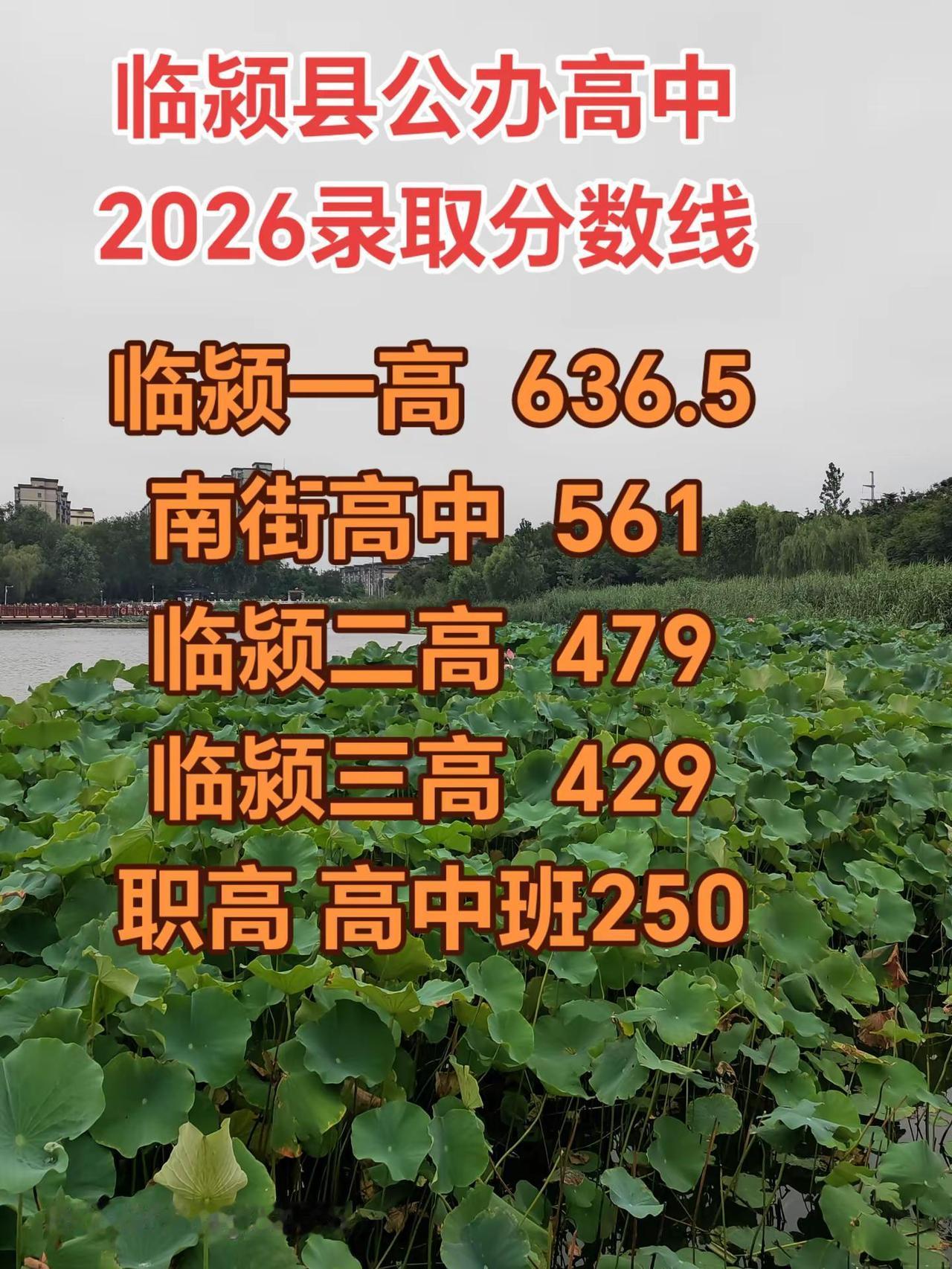 临颍县公办高中2026分数线