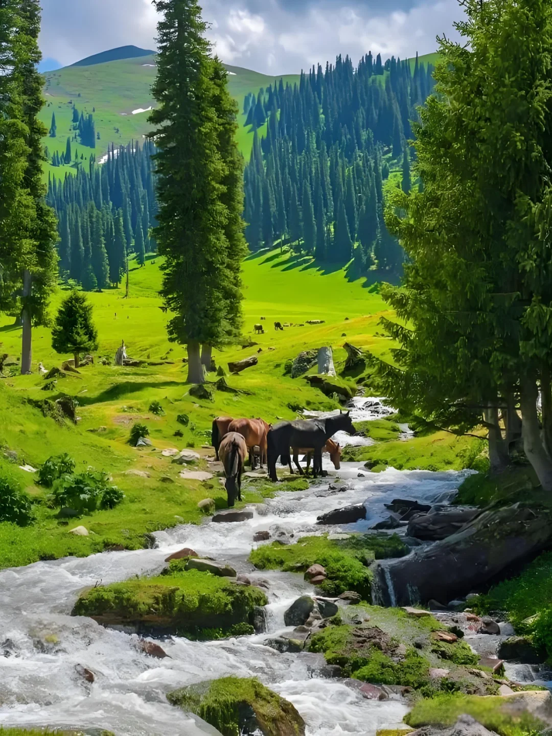 南北疆大环游！新疆享自由！15天，精华都去