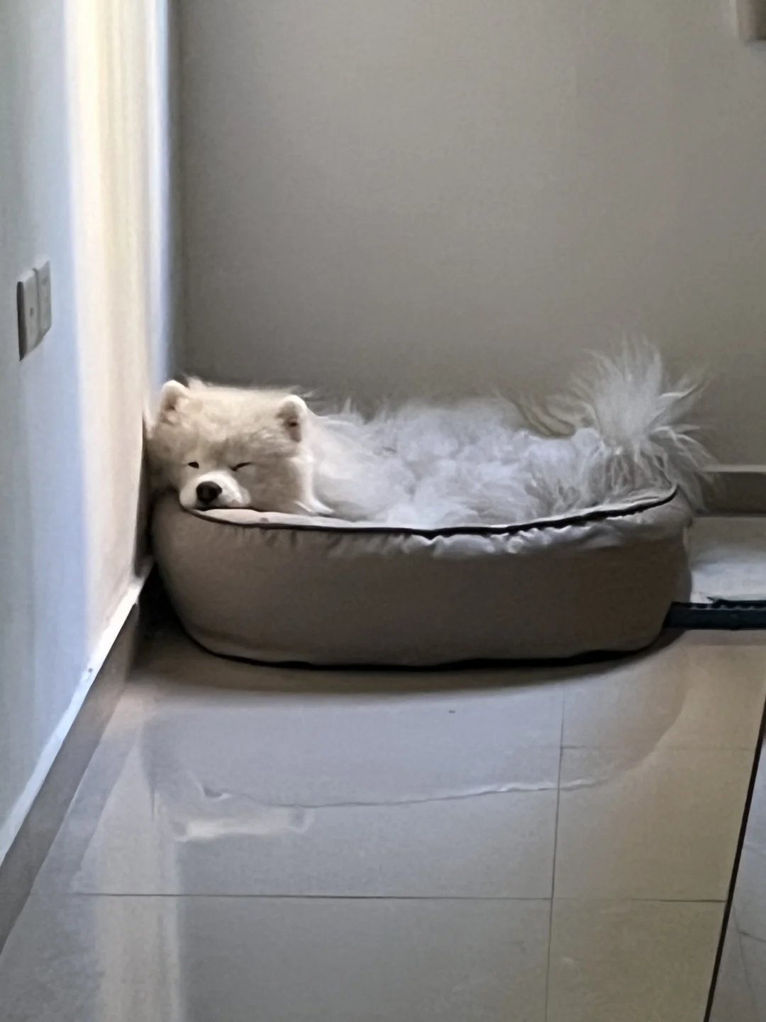 妈妈你去上班吧 我好困 不送你了