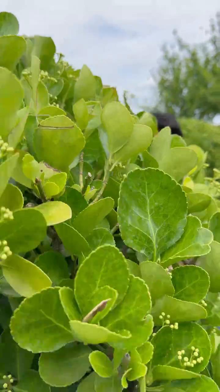 这次让你们尝尝我的厉害。出发，分头行动。发现目标，你完蛋了，怎么这还有一个？对，