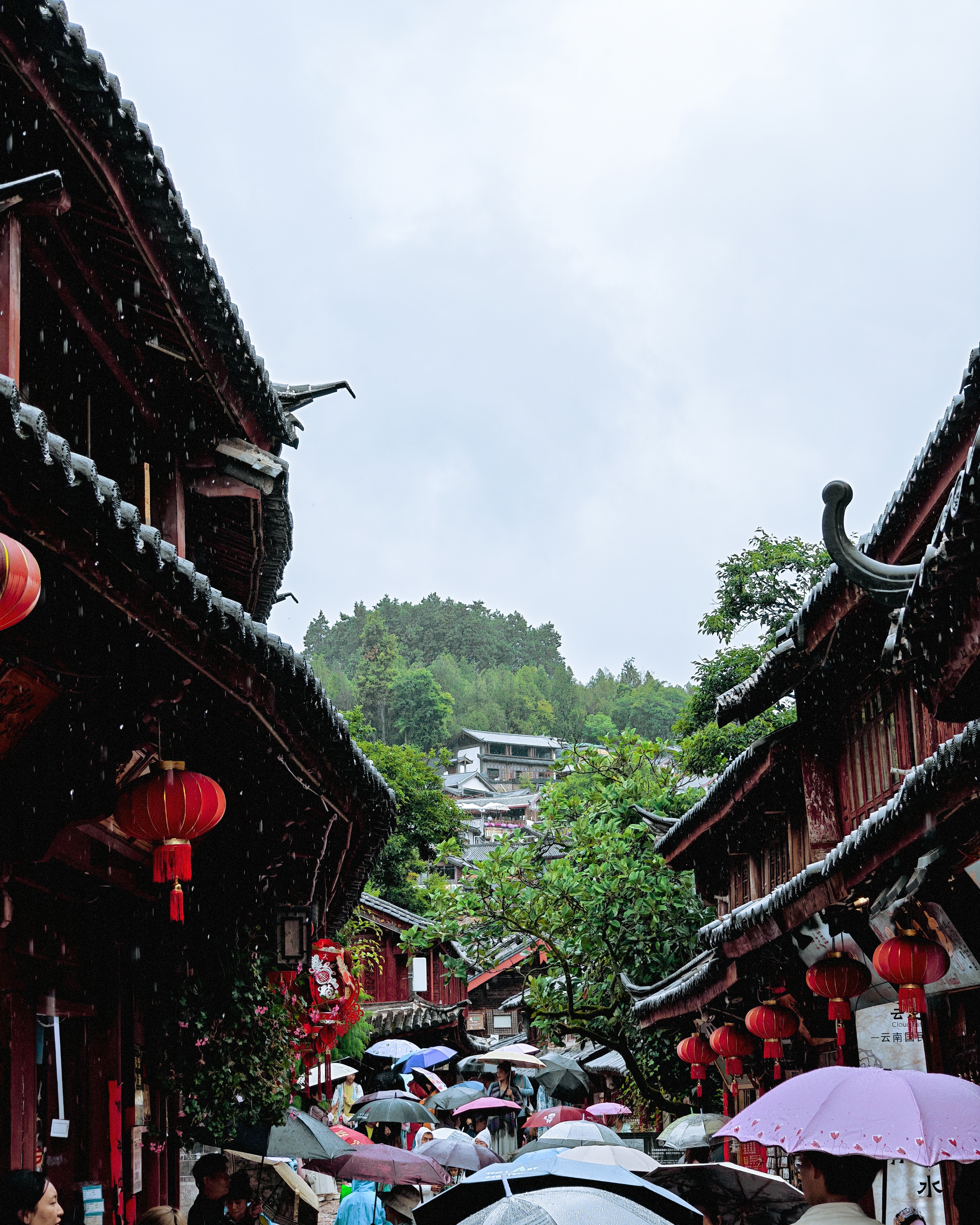 吃饱喝足，消消食[春游家族]，Live Photo拍完拍胶片风格 ​​​