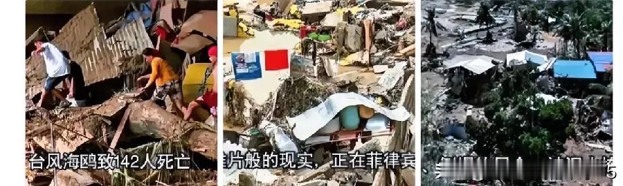 这次灾害在全球范围内沉默了，西方没有任何国家提供人道主义救援，不像之前的火灾、地