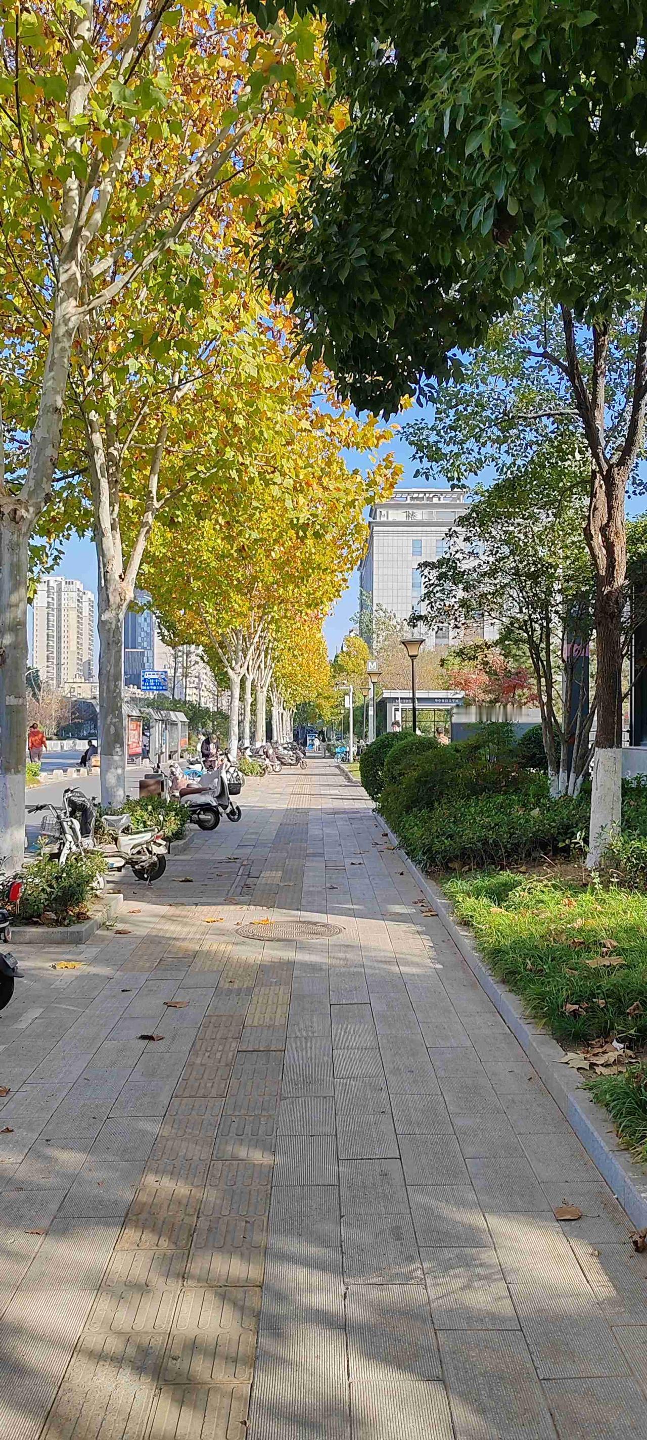 我的今日状态：😁轻松愉快
我这里的天气：☀️晴天