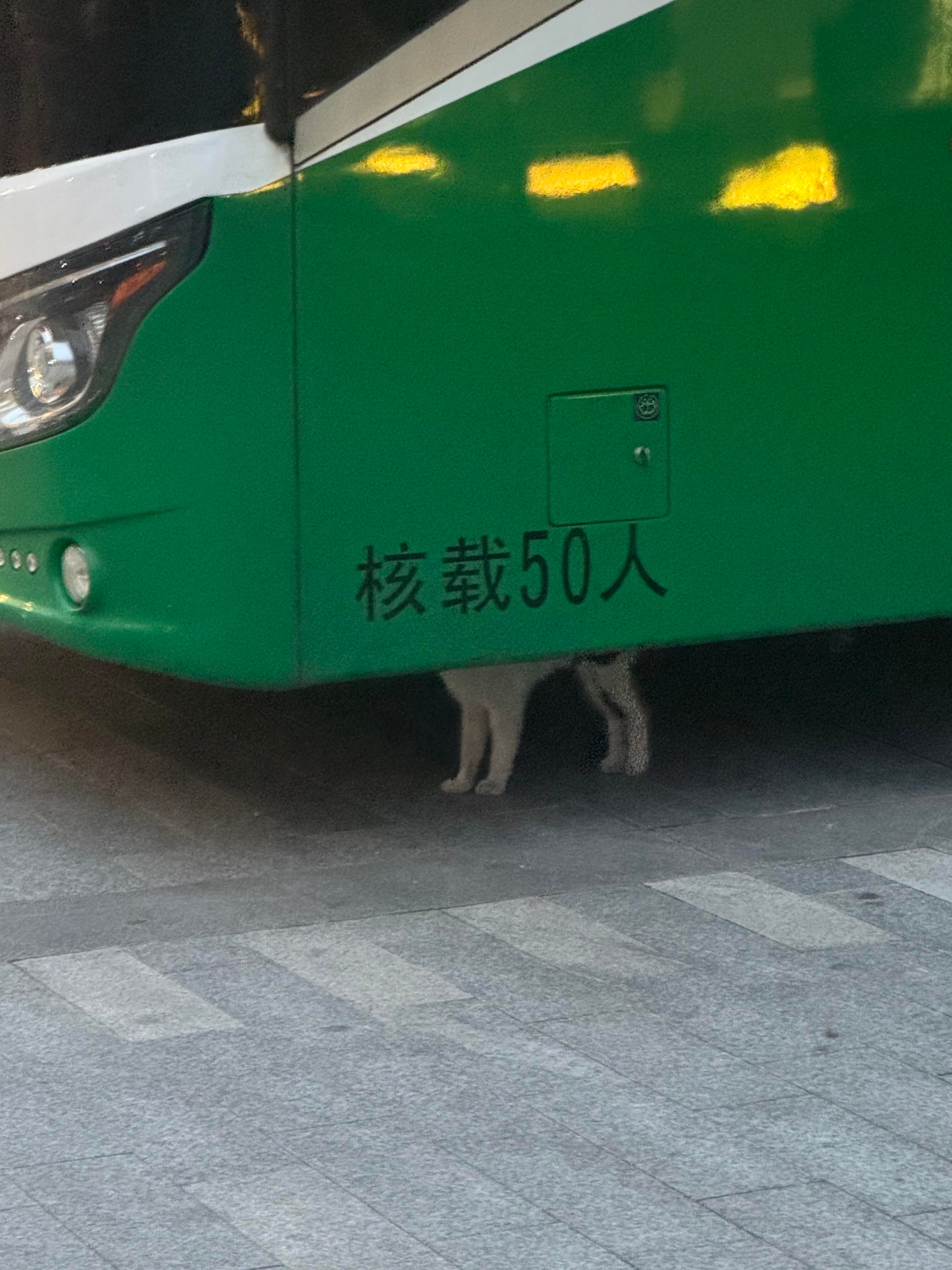 咪一个人承载了50个人 