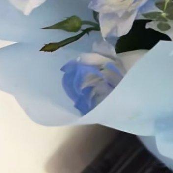 1102蓝玫瑰的种植方法：1、土壤条件疏松肥沃富含有机质的微酸性土壤适宜。需水量