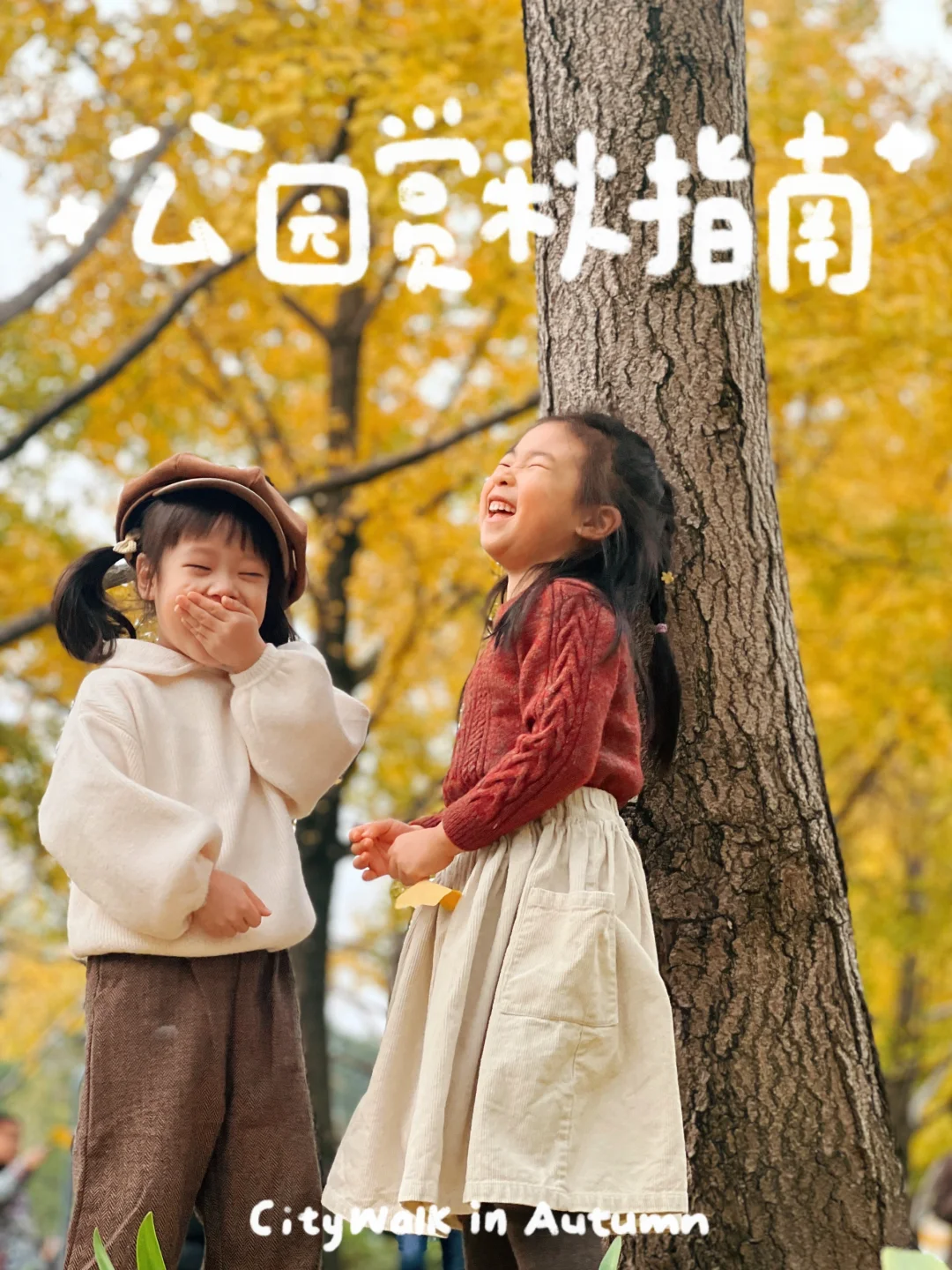 12.6实拍‼️秋天总要淋场银杏雨吧～