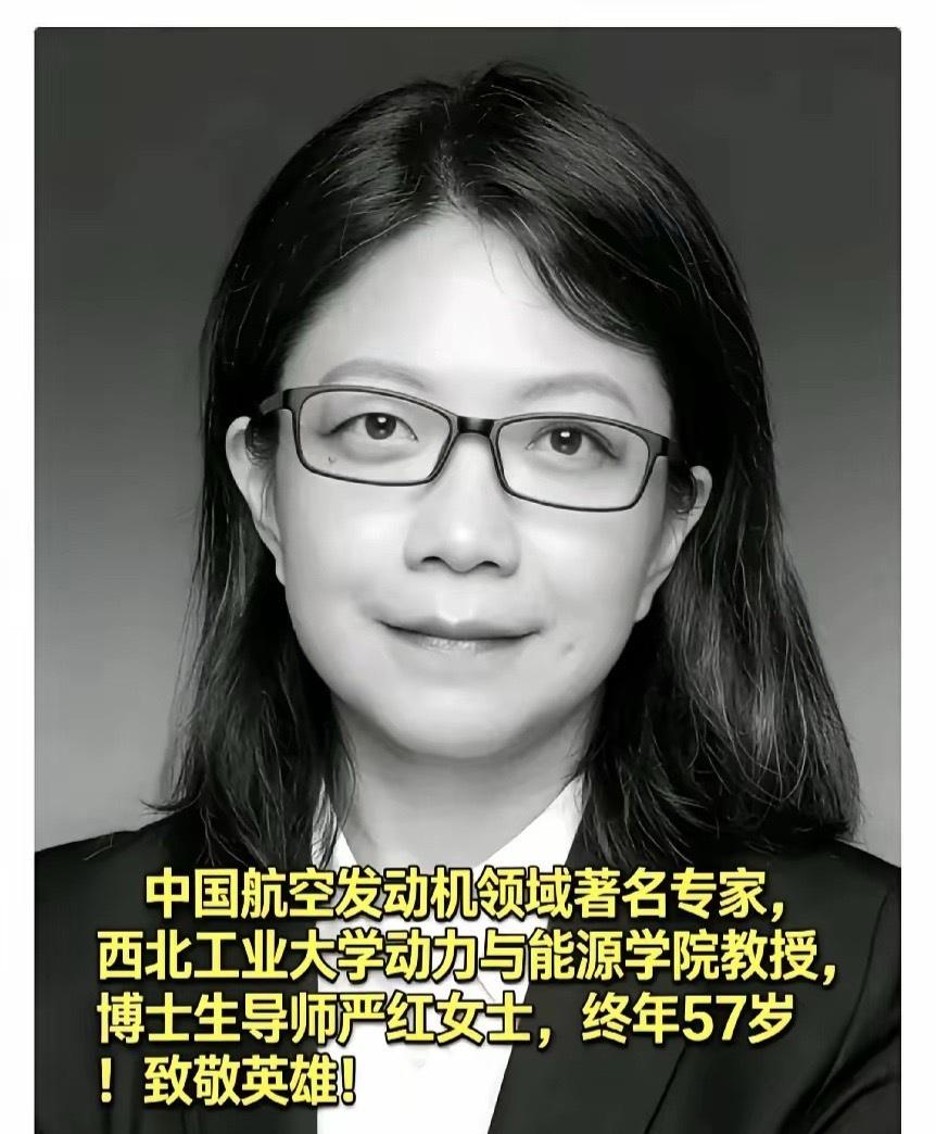 真的是让人感到悲哀！
3月24日，当所有人都在为张雪峰沸腾时，西工大博导严红，我