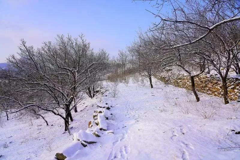 凌源景观系列之五十三——大河北窟窿山
​        寒意料峭，雪落无声，我怀