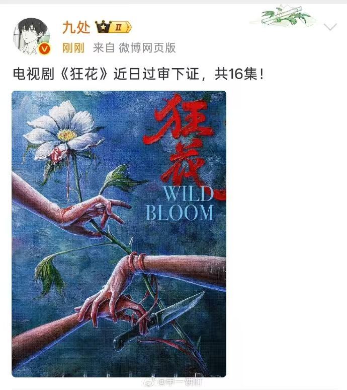 王珞丹、王子文、宋茜《狂花》近日过审下证，共16集！ 