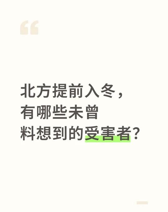 谁是北方提前入冬的受害者？
提前入冬记者日常
看到新闻上说，东北的燕子还没来得及
