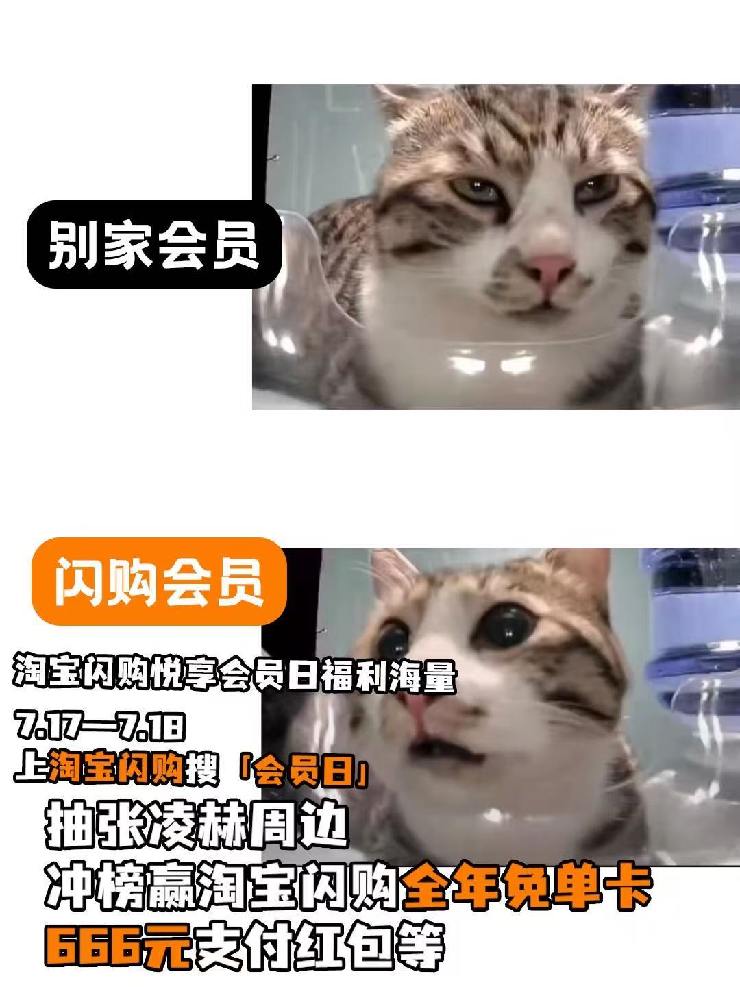 淘宝闪购会员日每月17日解锁专属权益美团会员外卖会员美团神券居家看球美食7月17