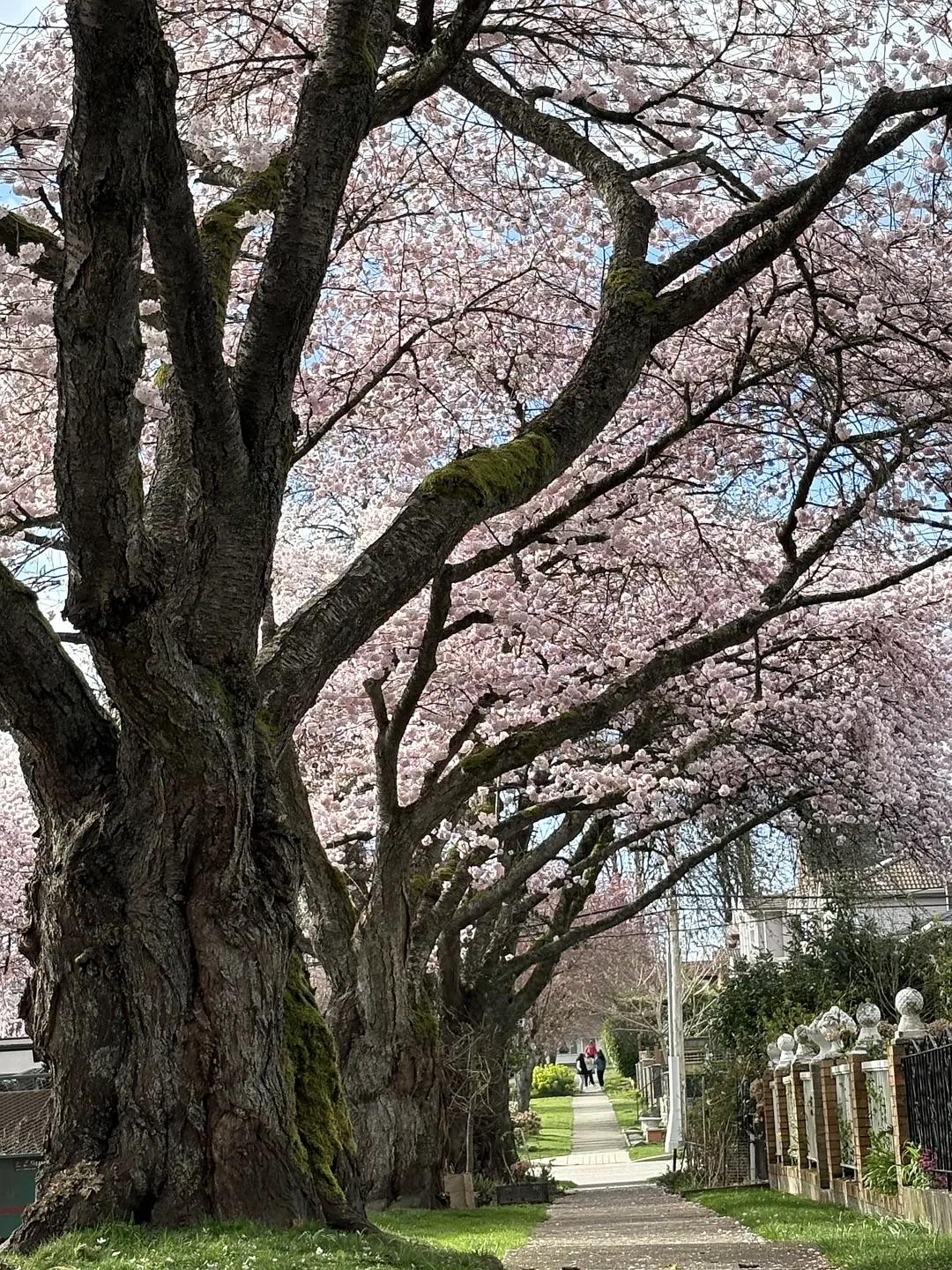 做事情最重要的是要抓住本质。

比如婚姻，最重要的是经济基础，而不是感情。
比如