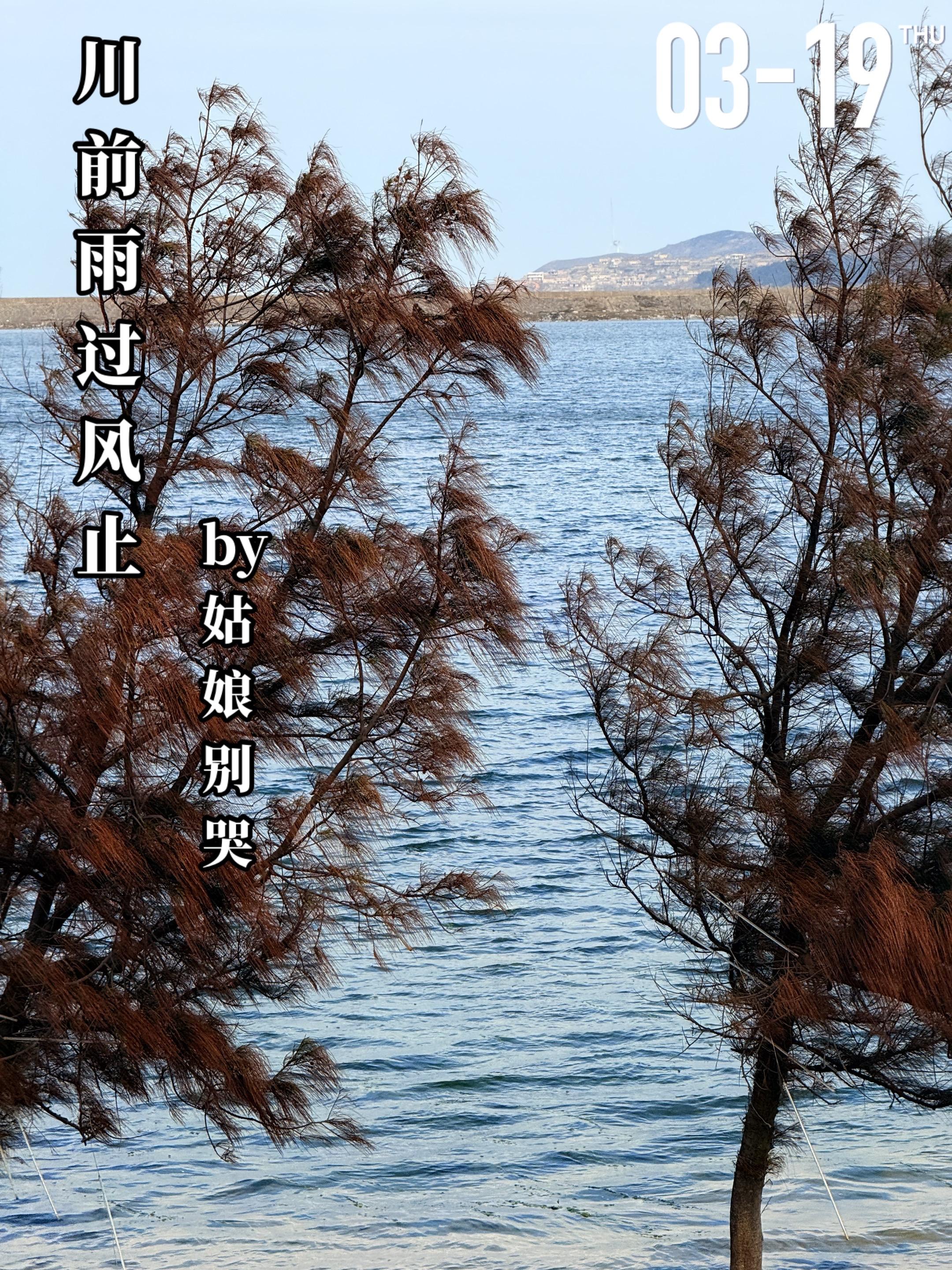 《川前雨过风止》by姑娘别哭。蔺雨落（女主）父母早逝，底下还有个弟弟...