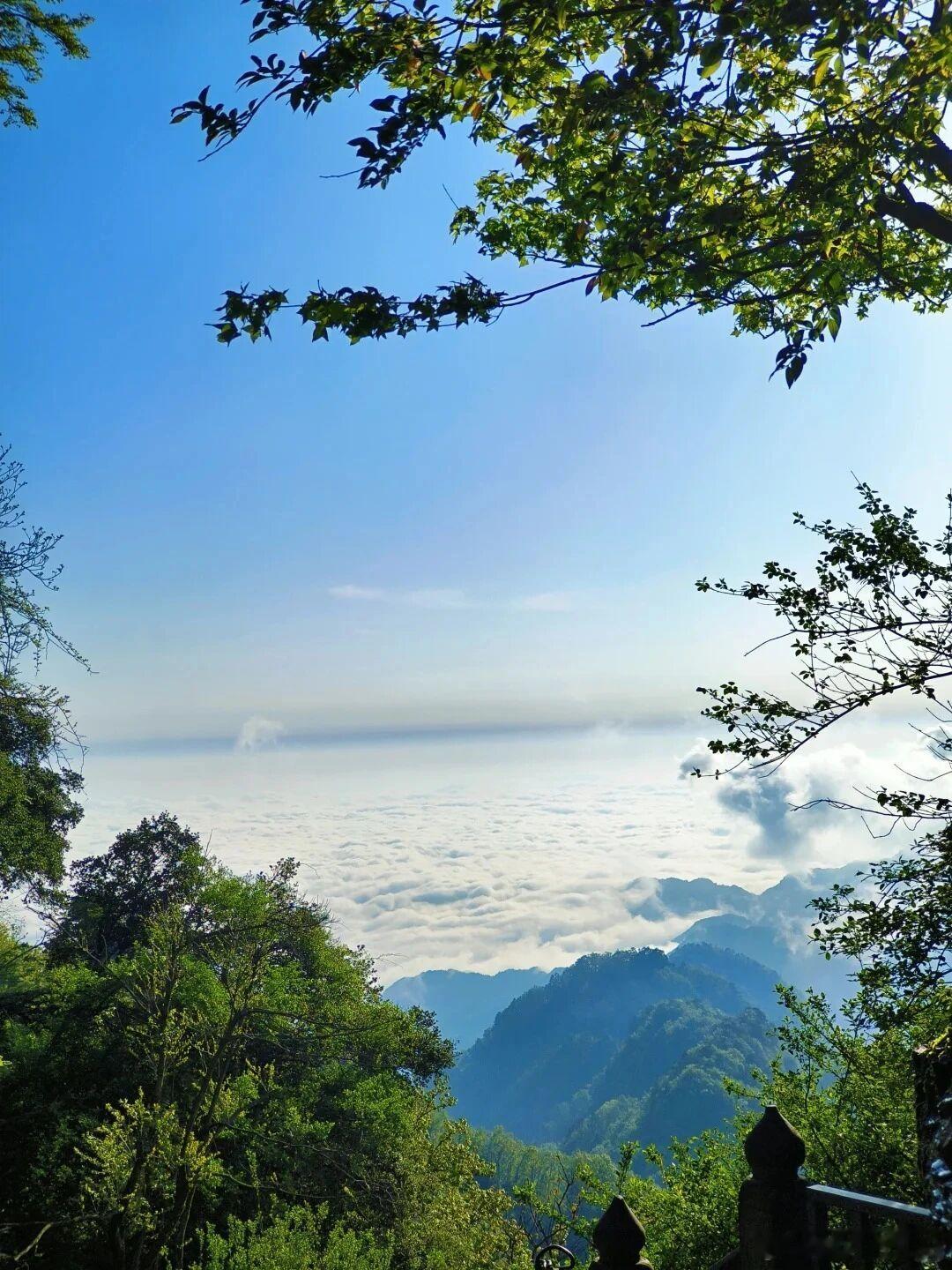 武当山夏日奇遇季 | 自然疗愈 寻迹武当 暮春落幕，初夏启程五月的风掠过荆楚大地