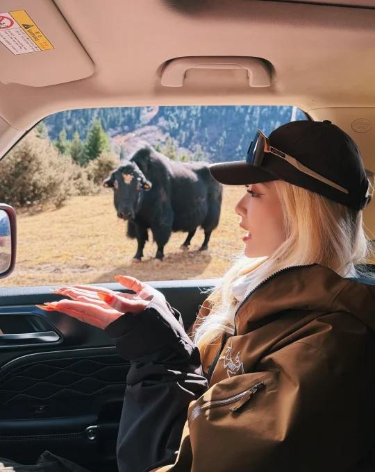 林芝新措｜路况你们不提
那我也不提🙄🙄🙄🙄 纯纯越野障碍赛 往返大概7k