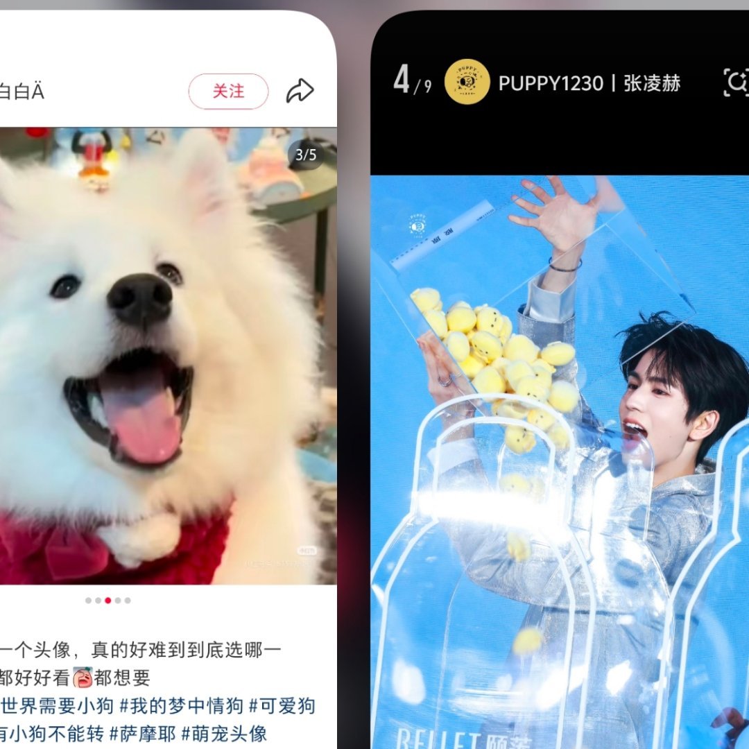 呜呜呜呜 这难道不是一模一样嘛 可爱爆了 ​​​