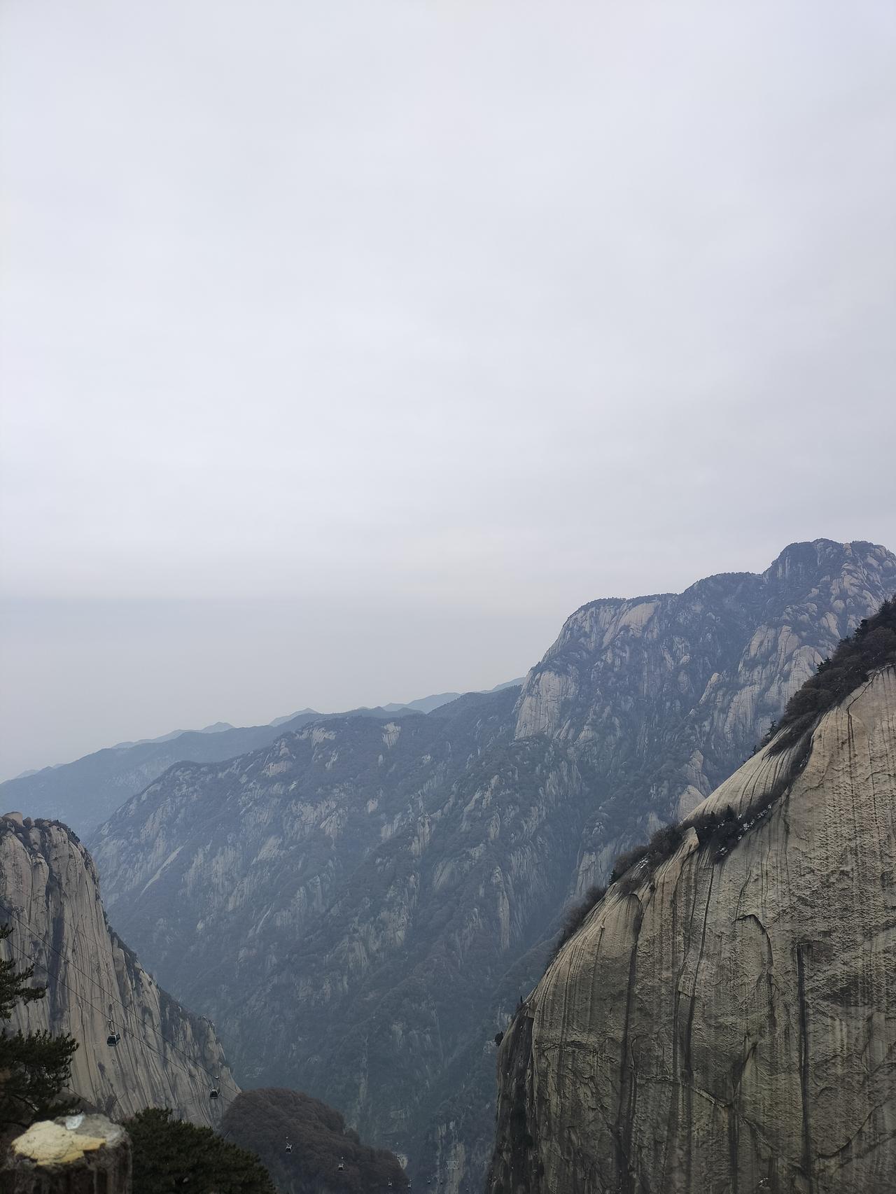 我们村有个30多岁的小伙叫小树，名字起的不错，命却苦得让人感叹。

年纪轻轻得了