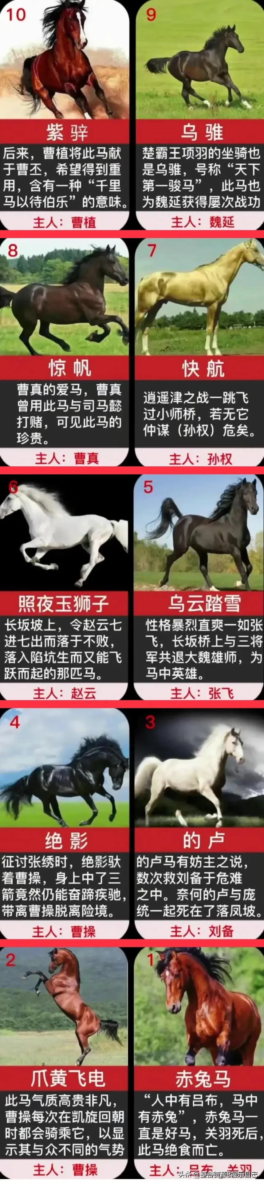 三国时期“十大宝马”排名一览图。
位列第一的就是赤兔马(主人：吕布、关羽)，第二