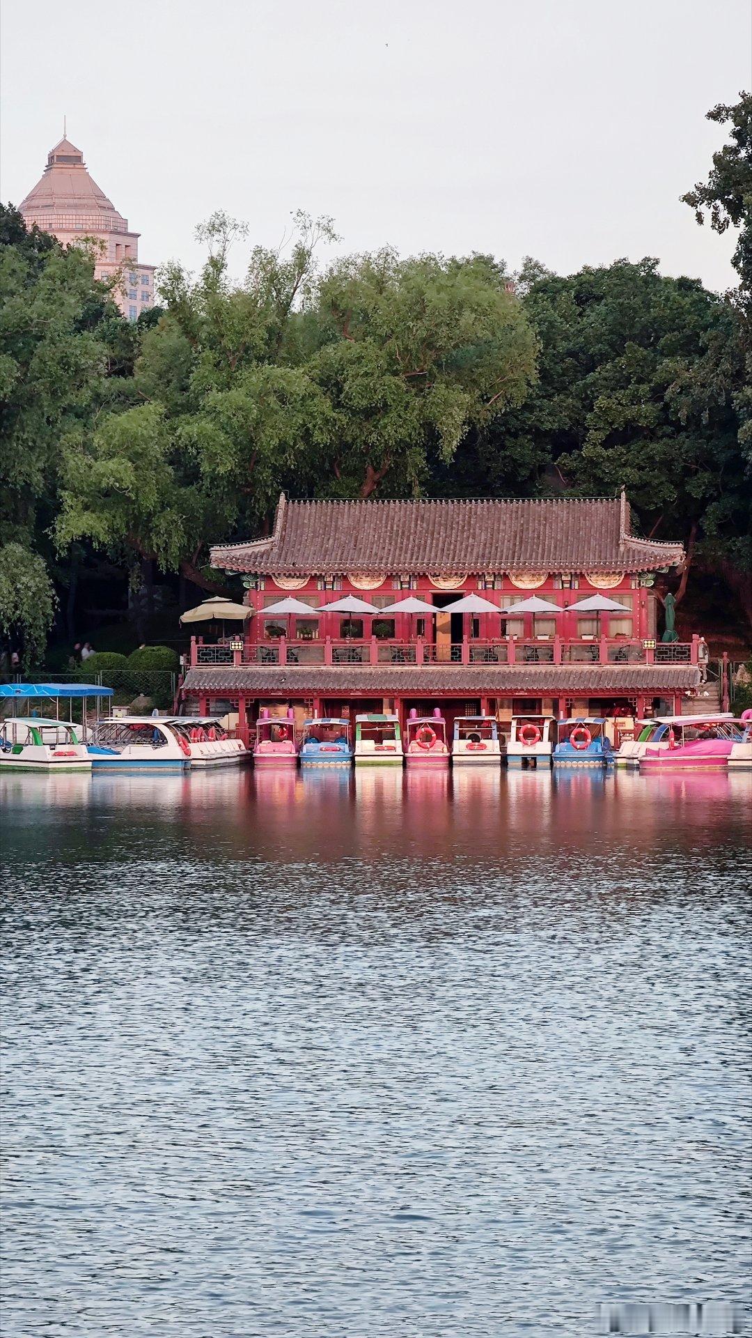 北京紫竹院公园的夏天摄影​​​