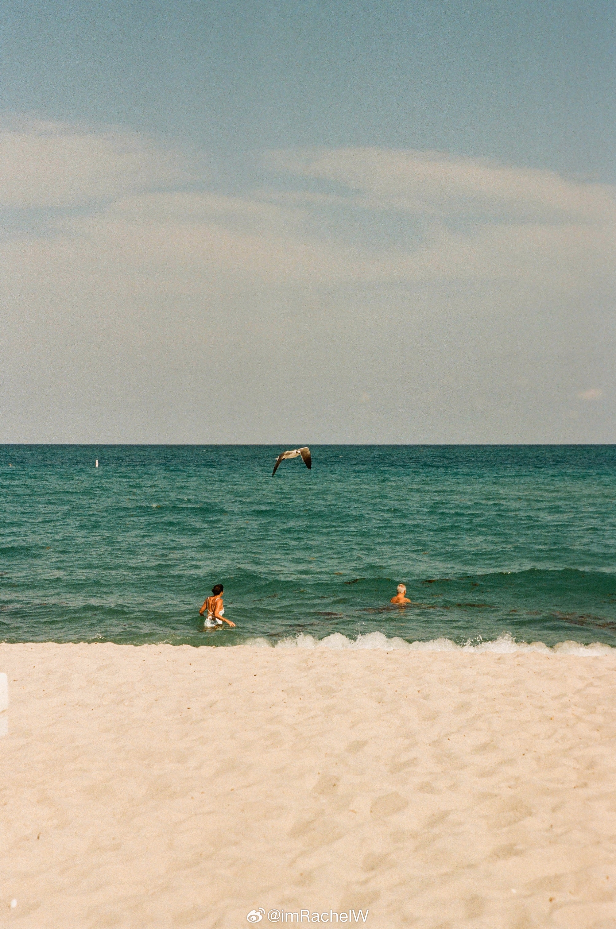 每年都不忘去一次海边 这次的胶片依然喜欢景色大于其他照片 看到胶卷后的我又被狠狠