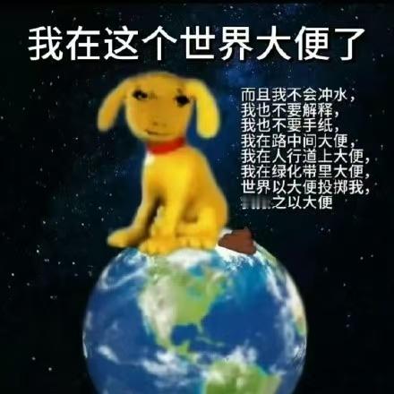 态度： ​​​