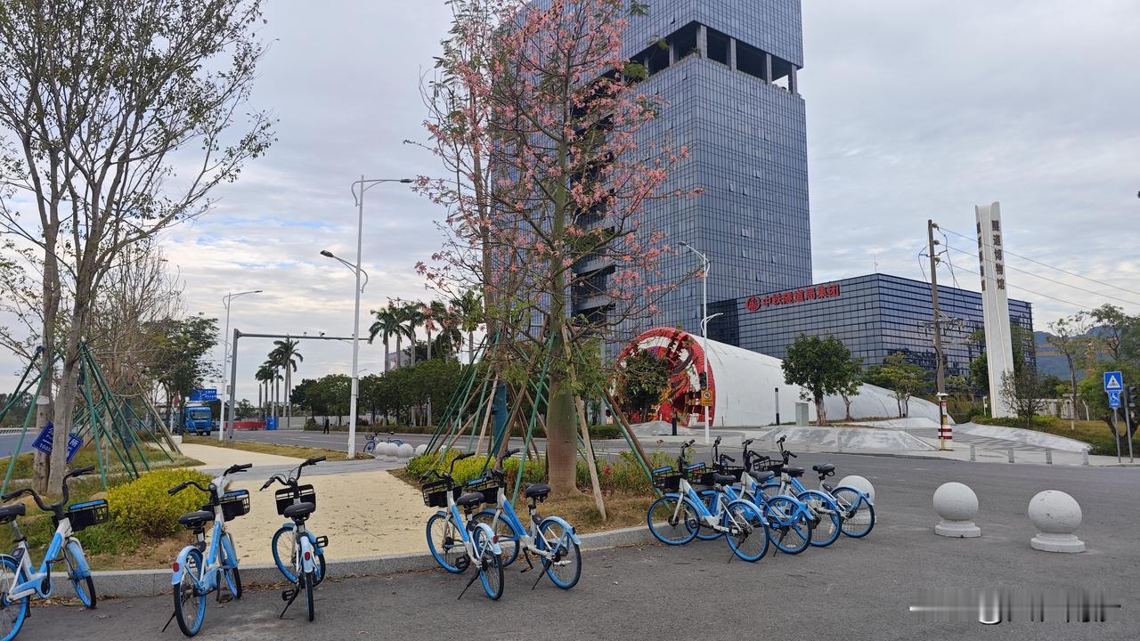 很多人问的，南沙情侣路有没有共享单车？答案肯定是有的。在隧道博物馆这边就放了一大