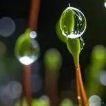 爱情是可爱的虐政，情人们甘受它的折磨🙂 