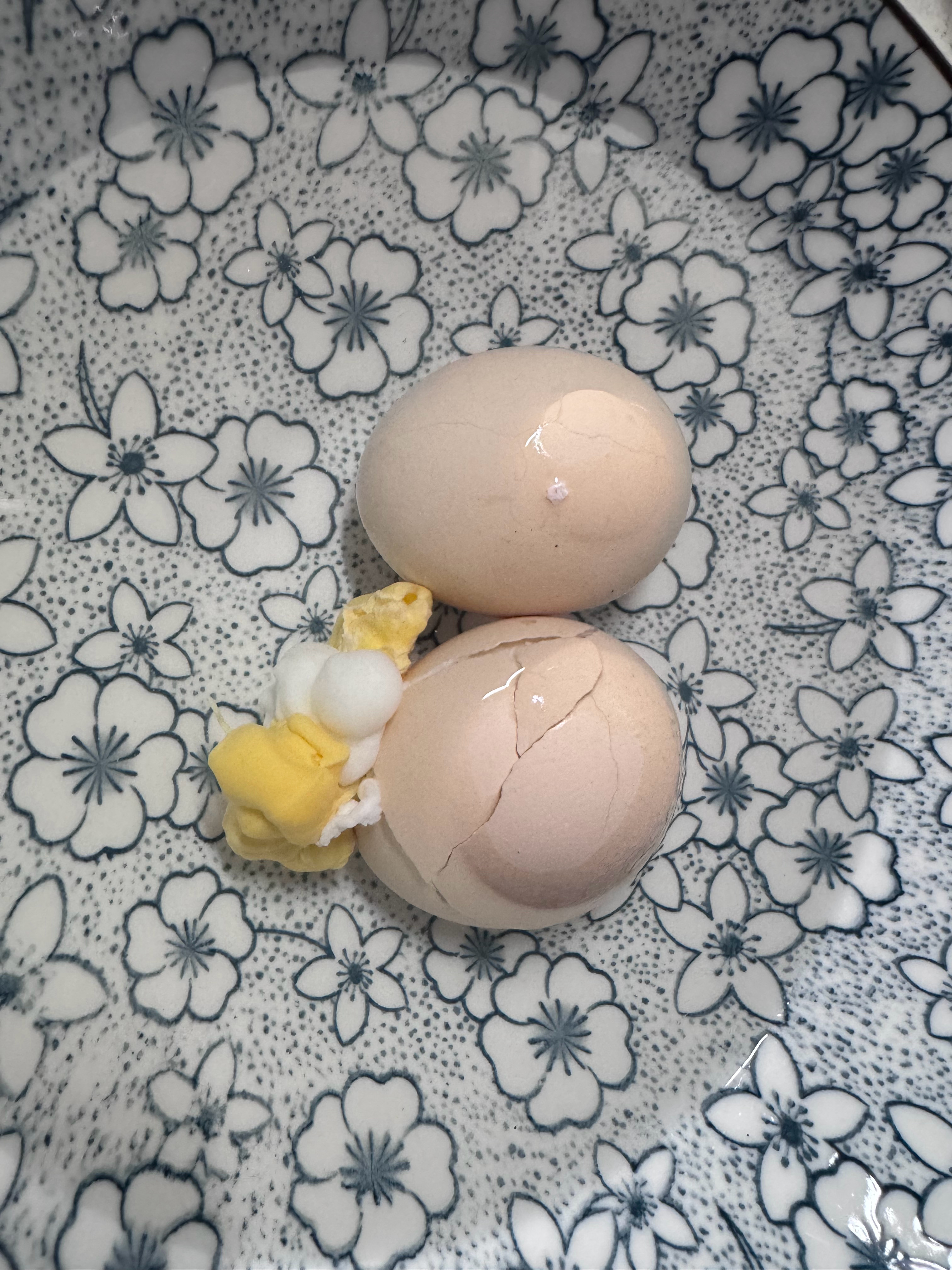 马年的第一场雪，那就祝大家马年大吉吧！ 