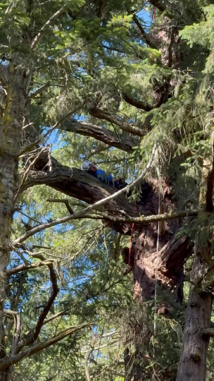 王一博爬树live图王一博躺在树干上雨林中的爬树体验超亮眼，live图藏着坚持与