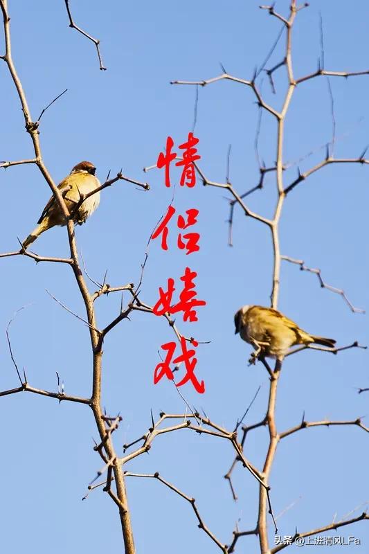 天蝎座会旧情复燃吗? 天蝎座会不会旧情复燃，得看情况。要是分手是因为欺骗、背叛这