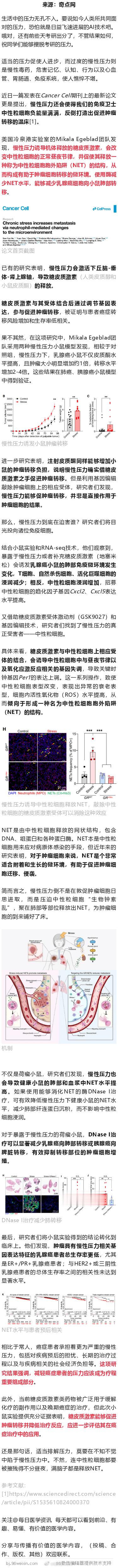 《癌细胞》：慢性压力设下癌症转移“陷阱”！科学家发现，慢性压力会促使中性粒细胞释