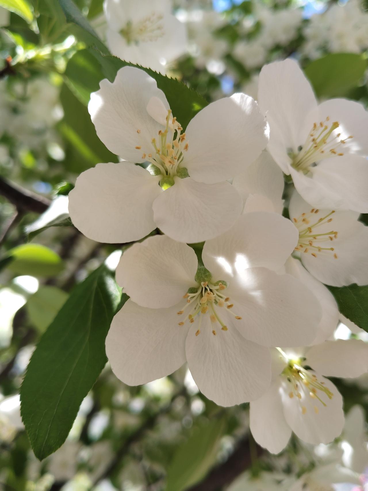 有人发文称，
一个人无论你当的官再大，挣的钱再多，只要你没有帮助别人，你在别人眼