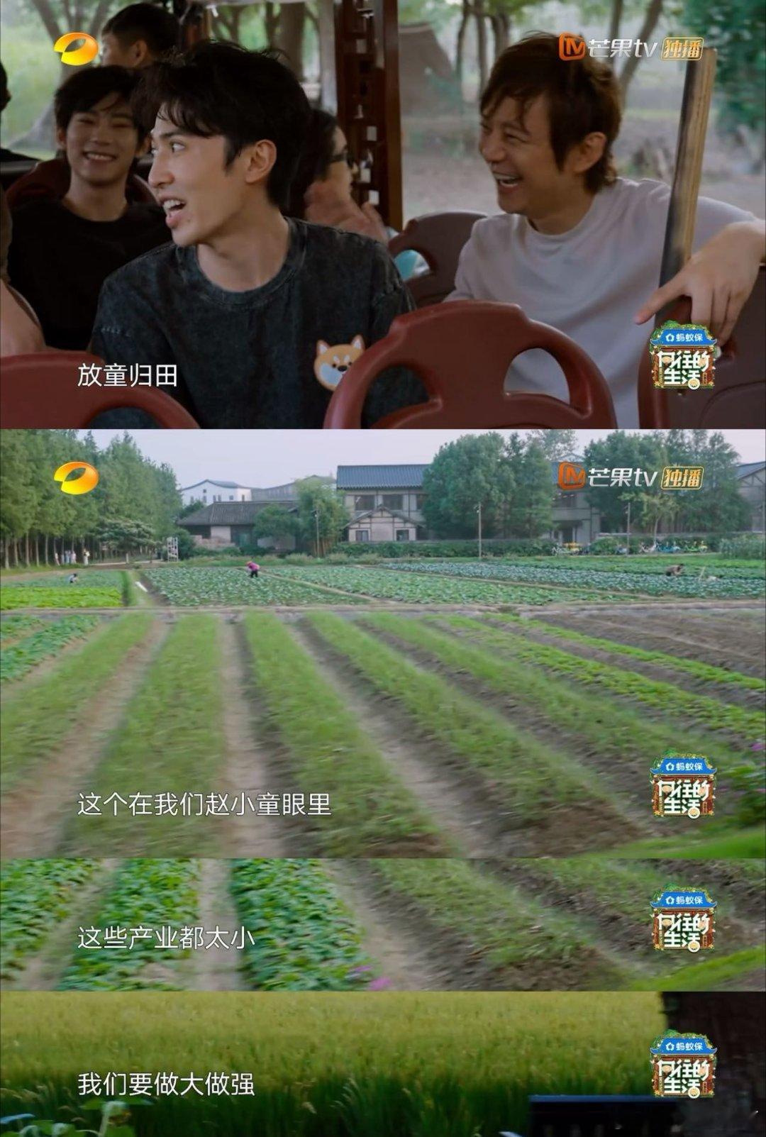 赵小童出了后陡门发现还要干活 哈哈哈哈赵小童在《向往》简直本色出演！别人下车看风