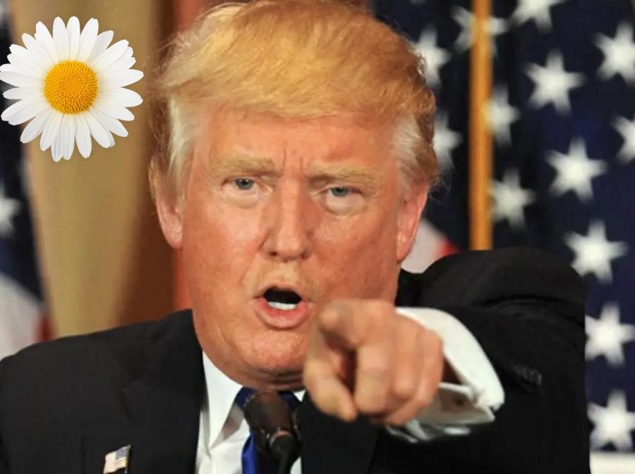 联合国会议上，特朗普演讲时耳机失灵，敲讲台配合稿文节奏被解读为无声抗议，其讲稿3