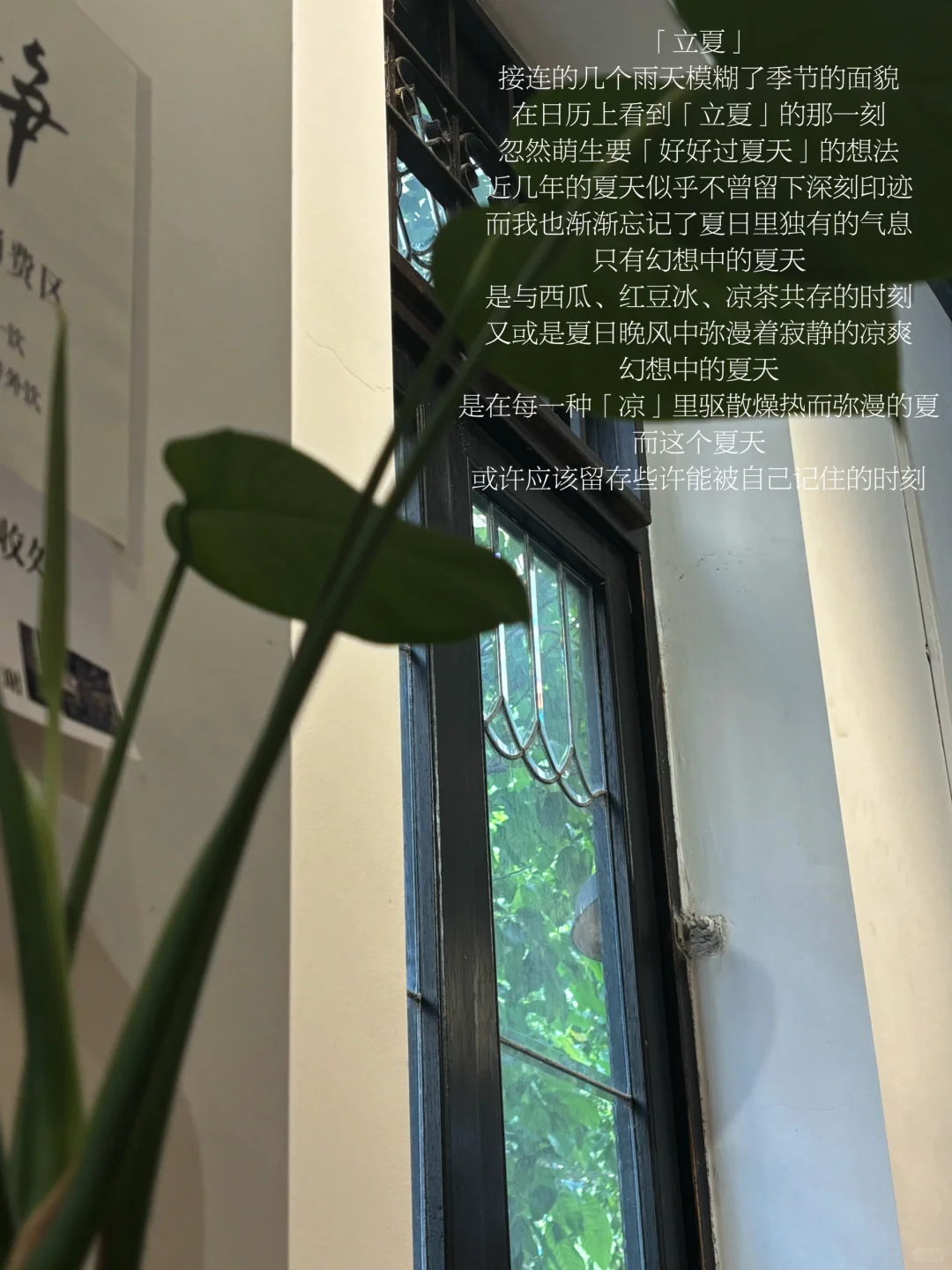 我在留存的影像和文字中窥见每一面的「我