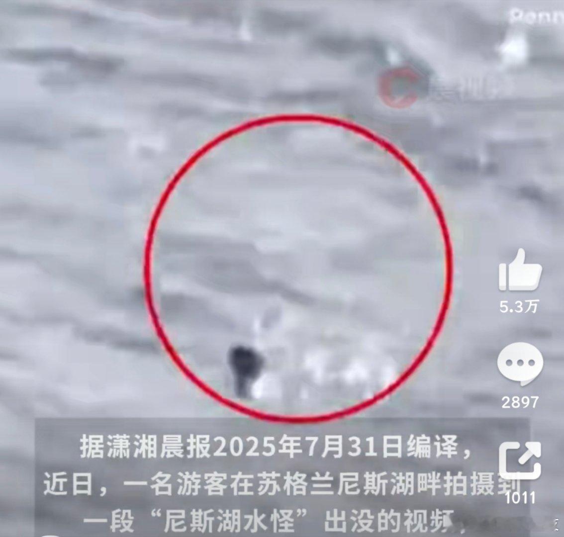 尼斯湖水怪再次被拍到咱就说能不能换个华为Pura80拍？[doge] ​​​