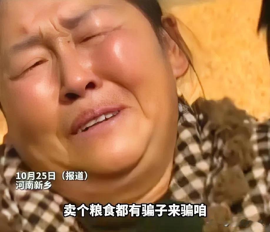 王秀莲卖粮收了28万，卡却被冻了，钱到底哪来的？

河南新乡县朗公庙镇的王秀莲，