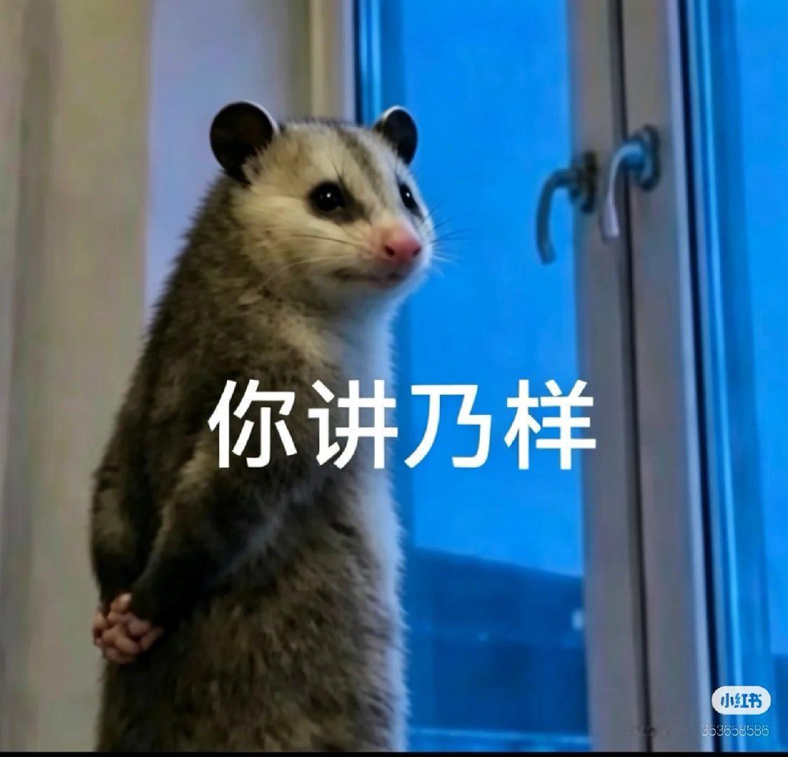 今天的热搜，都是哥哥的。 