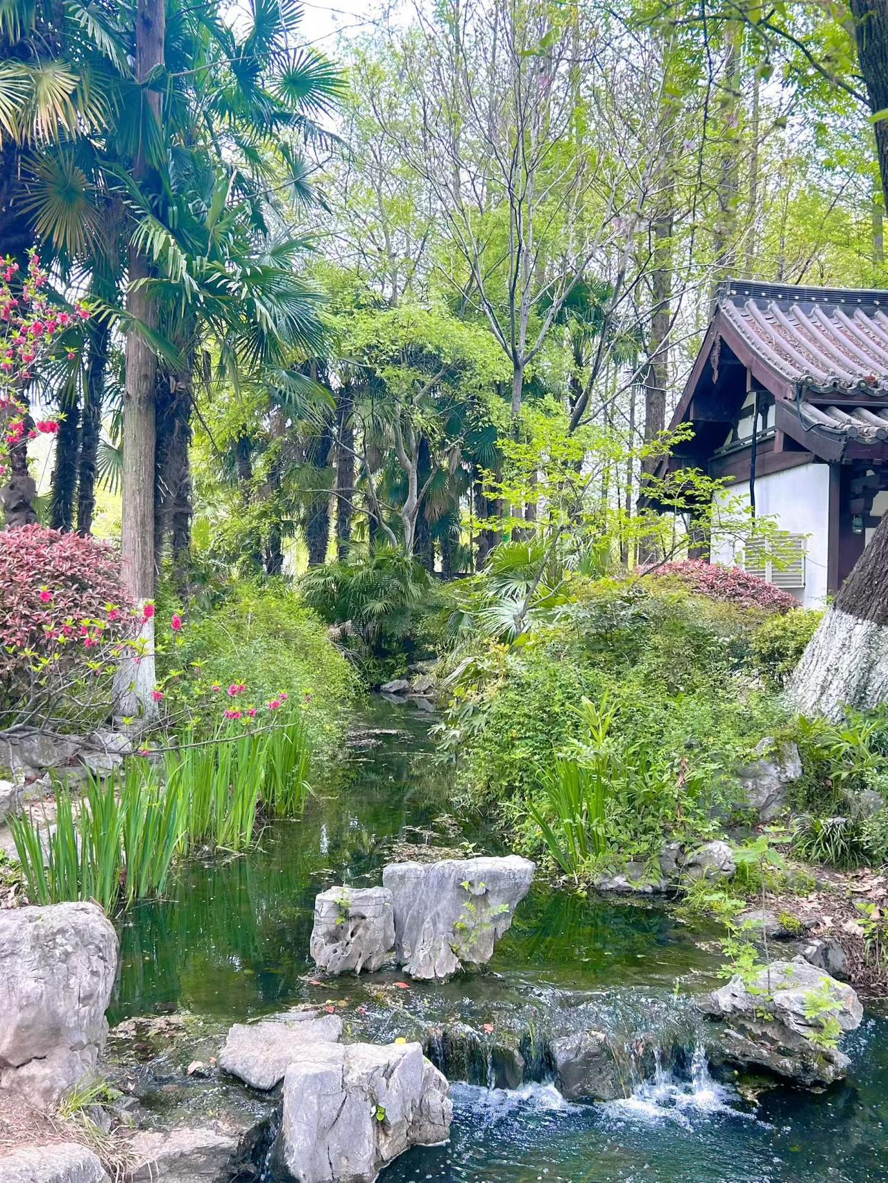 分享一张你最近随拍的照片