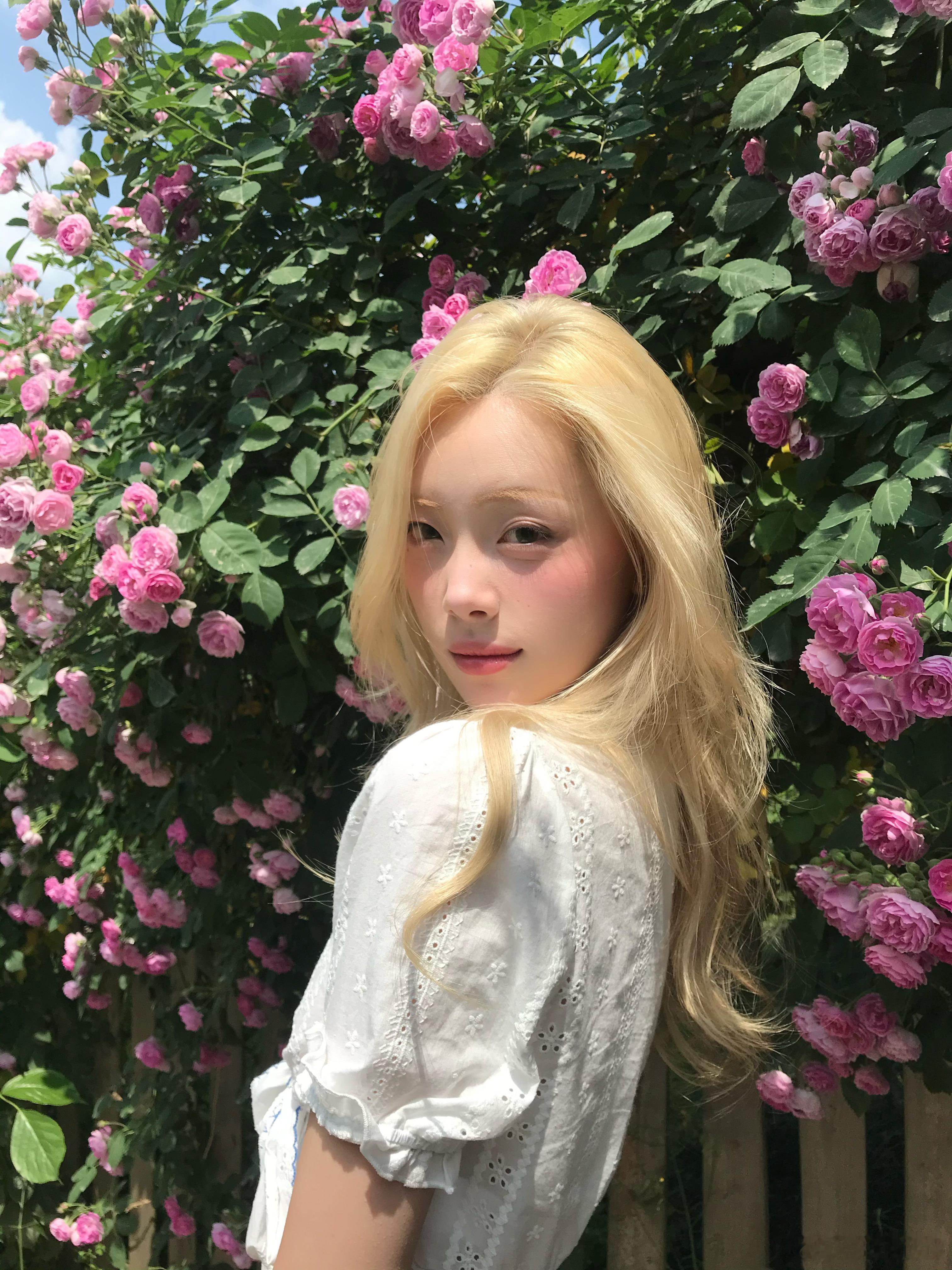 路过一片蔷薇花墙🌸（很喜欢这套 要单独发一篇） ​​​