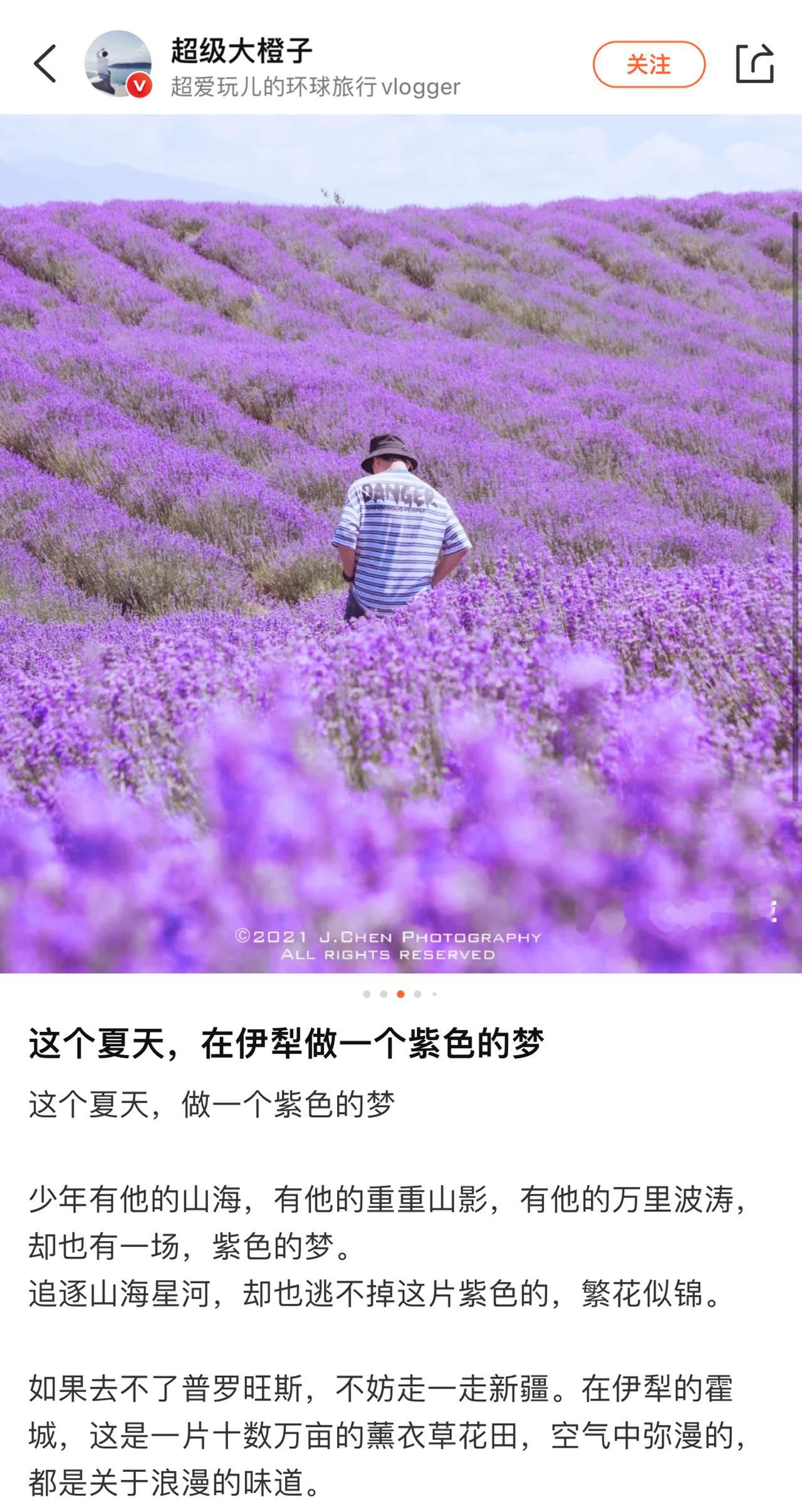 不是国外去不起，而是新疆更有性价比！！！有新疆霍城薰衣草庄园（东方普罗旺斯 ）、